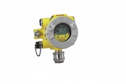 Gas Detectors