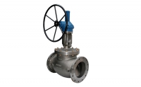 Globe Valves